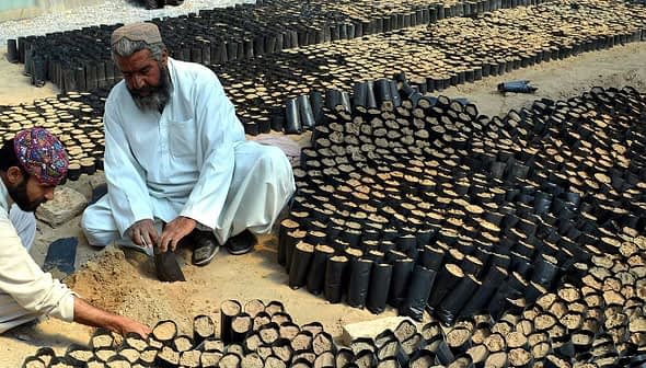 Two men working with black plastic containers filled with soil for olive seedlings in Pakistan. - Olive Oil Times