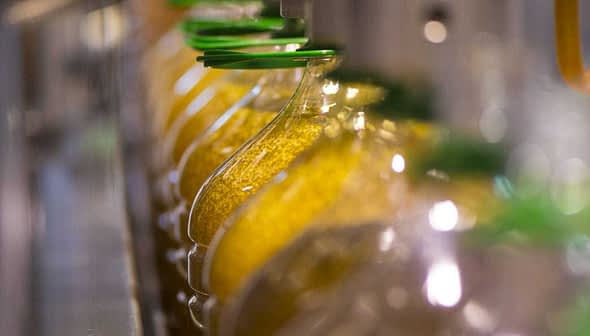 Row of glass bottles filled with olive oil on a production line with green caps. - Olive Oil Times