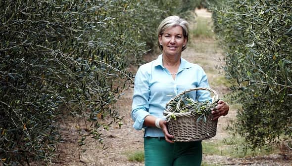 Woman standing in an olive grove, holding a woven basket filled with olives. - Olive Oil Times