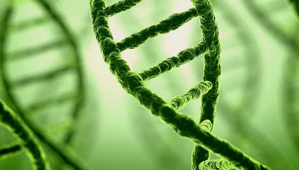 Close-up view of a green DNA double helix structure with a blurred background. - Olive Oil Times