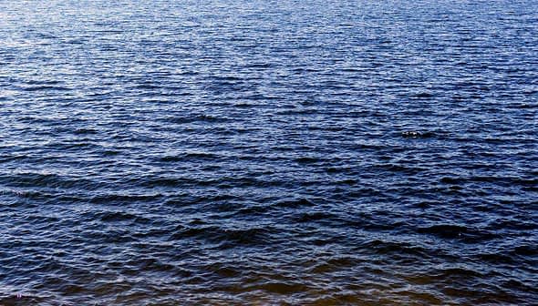 Surface of calm water with gentle ripples reflecting light in various shades of blue. - Olive Oil Times