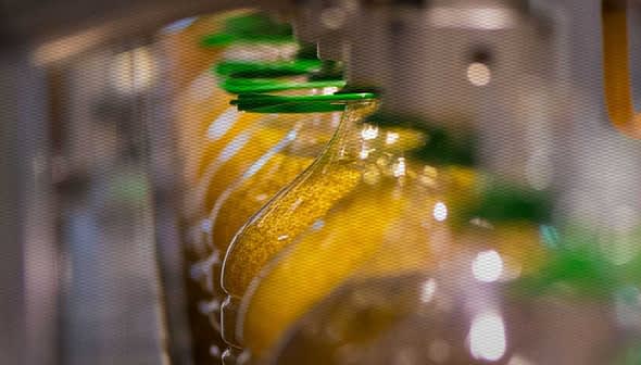 Bottles of olive oil being filled and capped in a production line. - Olive Oil Times