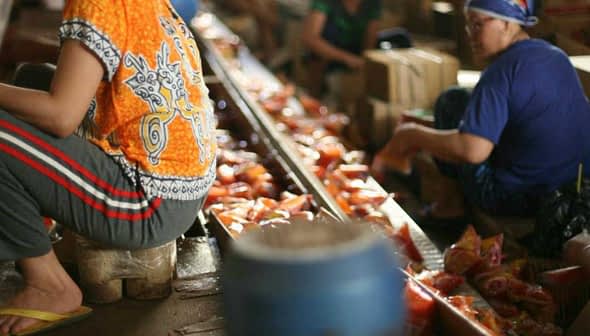 Women sitting on the ground sorting various products in a market setting. - Olive Oil Times