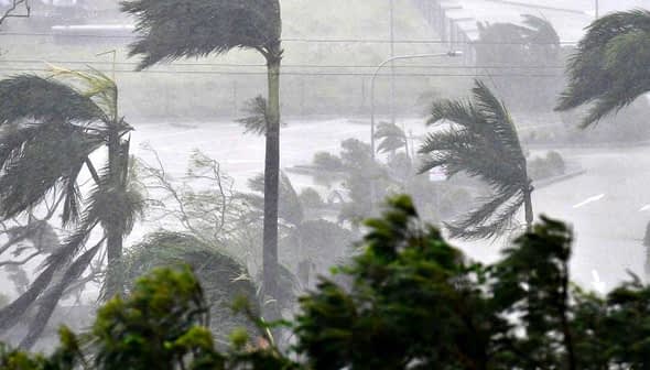 Trees bending due to strong winds and heavy rain during a storm in an outdoor setting. - Olive Oil Times