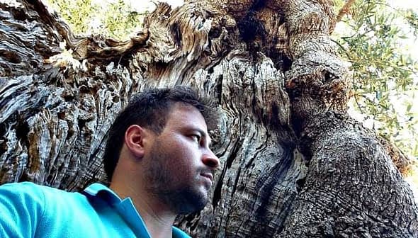 A man standing beside a large, gnarled olive tree with a textured trunk and foliage above. - Olive Oil Times