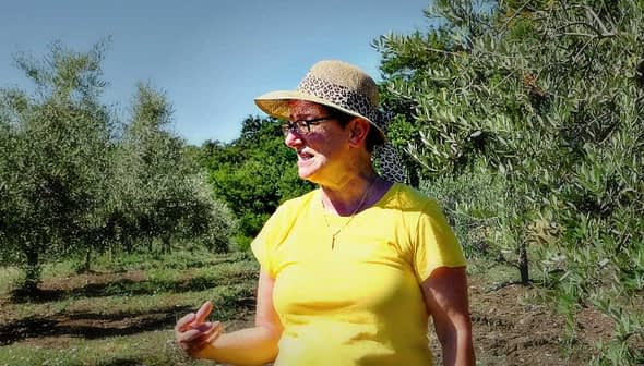Woman wearing a yellow shirt and hat standing among olive trees in an olive grove. - Olive Oil Times
