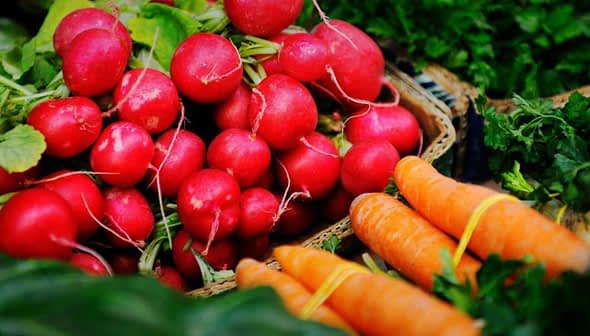 A collection of red radishes and orange carrots arranged on a surface with leafy greens. - Olive Oil Times