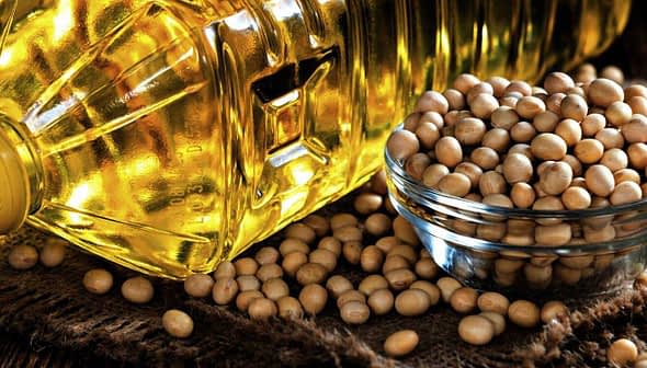 Transparent bottle of cooking oil next to a bowl of soybeans on a textured surface. - Olive Oil Times