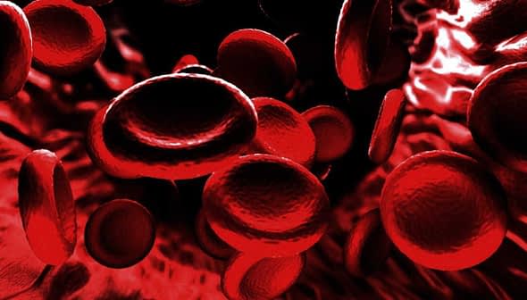 Illustration of red blood cells moving through a blood vessel in a digital representation. - Olive Oil Times