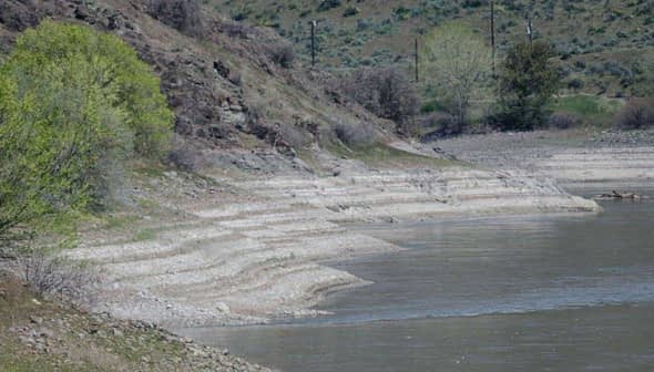 Riverbank showing vegetation and distinct layers of soil along the water's edge. - Olive Oil Times