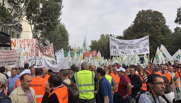 Crowd of protesters wearing orange vests holding banners regarding olive oil prices. - Olive Oil Times