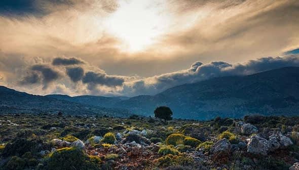 A landscape featuring a tree, rocky terrain, and a cloudy sky with sunlight breaking through. - Olive Oil Times
