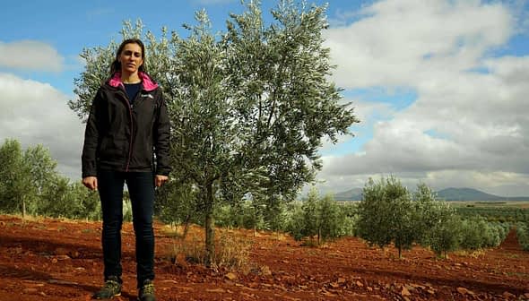 Individual standing in an olive grove with green trees and red soil in the background. - Olive Oil Times
