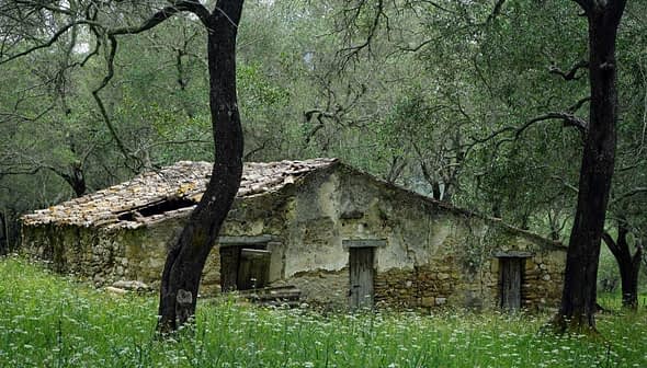 Old stone house with a weathered roof, partially covered by grass and trees. - Olive Oil Times