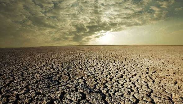 A barren landscape featuring cracked dry earth under a cloudy sky. - Olive Oil Times