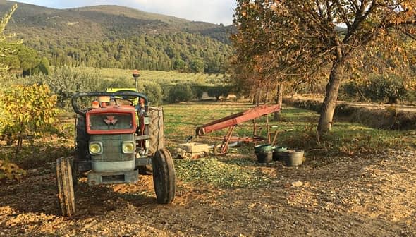 Blue agricultural tractor parked on a dirt path in a field with trees in the background. - Olive Oil Times