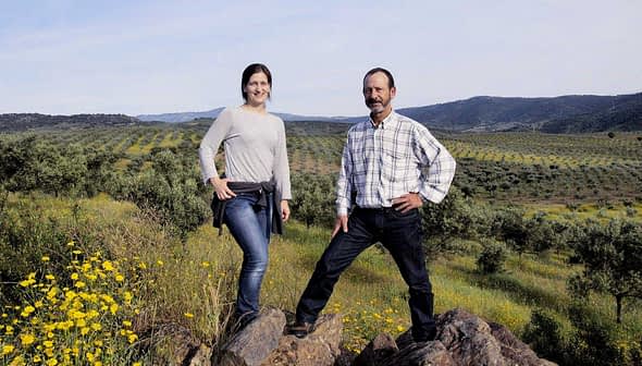 A man and a woman standing on rocks in an olive grove with rolling hills in the background. - Olive Oil Times