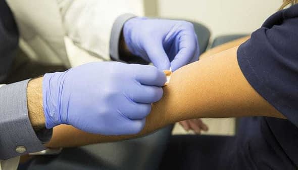 A medical professional wearing gloves applies a bandage to a patient's arm in a clinical setting. - Olive Oil Times