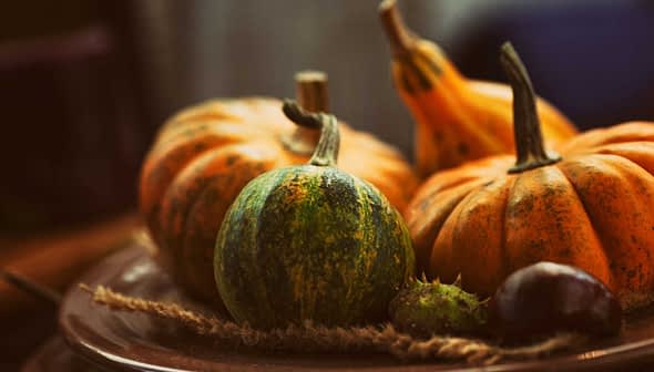 A variety of decorative pumpkins including orange and green ones arranged on a plate with natural fibers. - Olive Oil Times