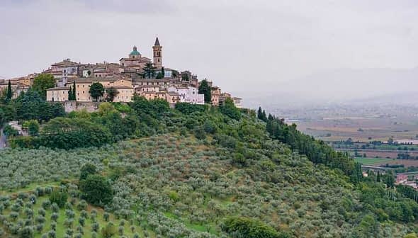 A hilltop village with buildings and a church tower, surrounded by olive trees and rolling hills. - Olive Oil Times