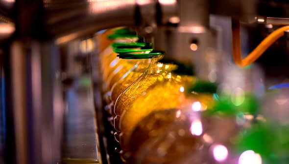 Row of bottles filled with oil on a production line with green caps. - Olive Oil Times
