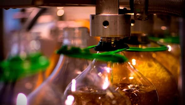 Bottles being filled with olive oil in a production line with green caps. - Olive Oil Times