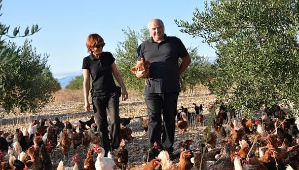 Two farmers walking through a field with a large group of chickens in a rural setting. - Olive Oil Times