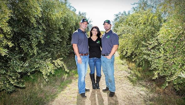 Three individuals standing together in an olive grove, wearing casual clothing and hats. - Olive Oil Times