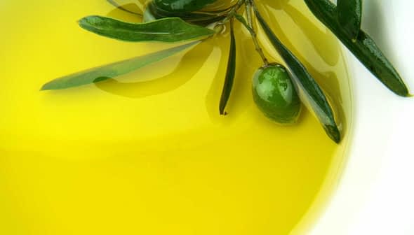 A close-up image of olive oil in a bowl with an olive branch and olives resting on the surface. - Olive Oil Times