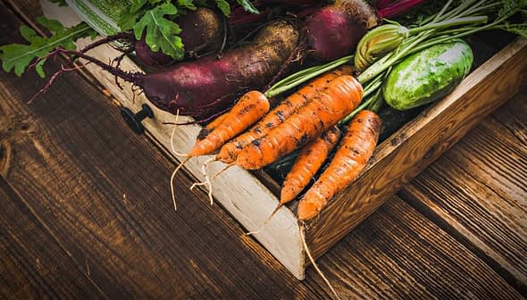 A wooden crate filled with various freshly harvested vegetables, including carrots, beets, and cucumbers. - Olive Oil Times