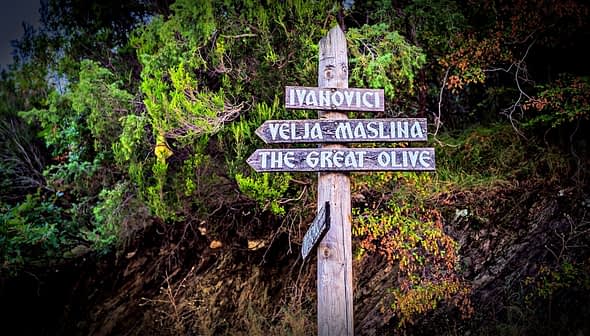 Wooden signpost with directional arrows pointing to Iyanovici, Velia Maslina, and The Great Olive. - Olive Oil Times