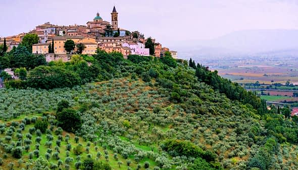 A hilltop village with colorful buildings surrounded by olive trees and rolling hills. - Olive Oil Times
