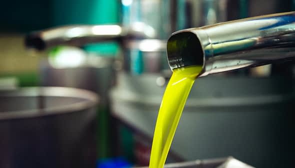 Fresh olive oil pouring from a metal spout into a container in a production facility. - Olive Oil Times