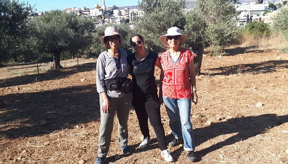 Three individuals standing together in an olive grove, wearing hats and casual clothing. - Olive Oil Times