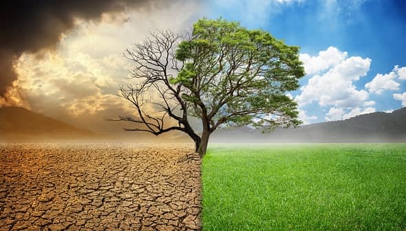 A split image showing a barren landscape on one side and a green, lush landscape on the other with a tree in the center. - Olive Oil Times