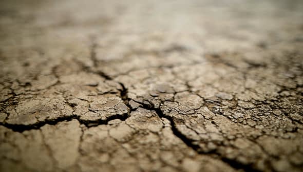 Close-up view of cracked dry soil surface with visible texture and patterns. - Olive Oil Times