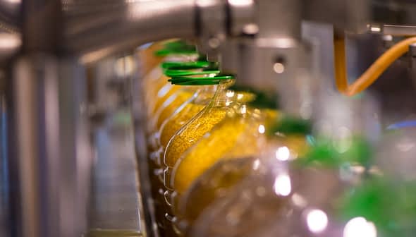 Row of bottles filled with olive oil on a production line with green caps. - Olive Oil Times