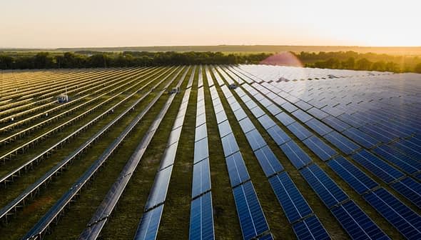 Aerial view of solar panels arranged in rows in a field during sunset. - Olive Oil Times