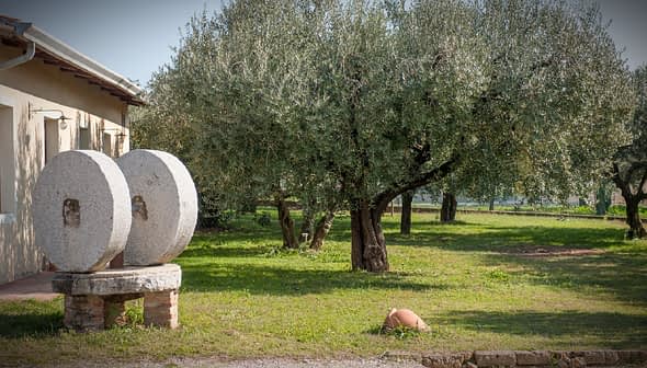 Two large stone mill wheels used for processing olives, placed outdoors near olive trees. - Olive Oil Times