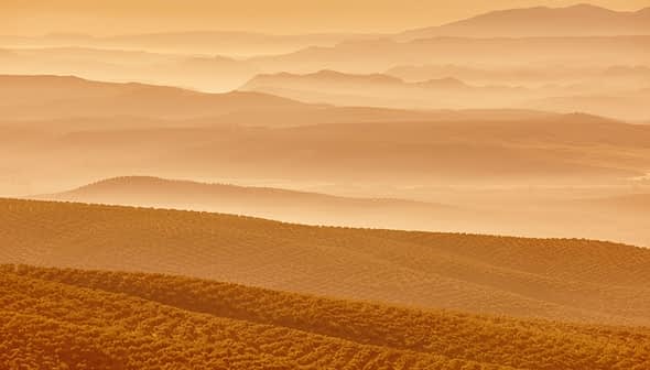 Layered landscape of rolling hills and valleys in warm orange tones during sunset. - Olive Oil Times