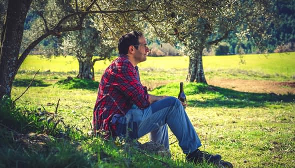 A man in a red plaid shirt sitting on a rock under an olive tree, holding a bottle. - Olive Oil Times