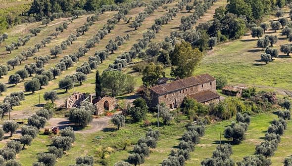 Aerial view of a farmhouse surrounded by olive trees in a rural landscape. - Olive Oil Times