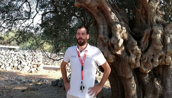 A man wearing a white shirt and lanyard standing beside a large olive tree. - Olive Oil Times