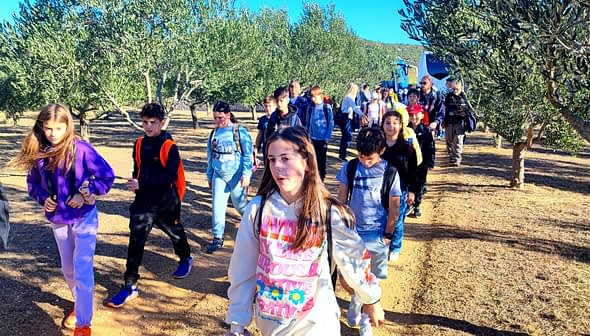 A group of children walking through an olive grove, wearing backpacks and casual clothing. - Olive Oil Times