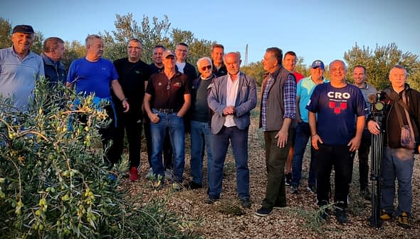 A group of men standing together in an olive grove during daylight. - Olive Oil Times