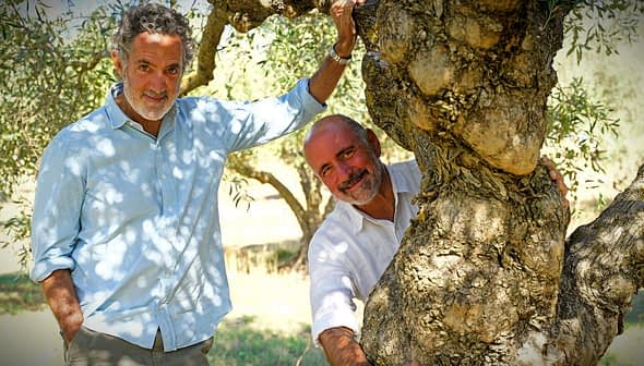 Two men standing beside a large olive tree, one leaning against the trunk and the other holding onto a branch. - Olive Oil Times