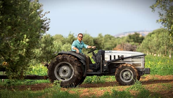 A man with a beard driving a tractor through an olive grove with trees in the background. - Olive Oil Times