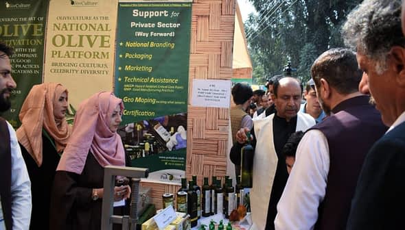 Exhibition booth featuring olive oil products and promotional materials at an event. - Olive Oil Times