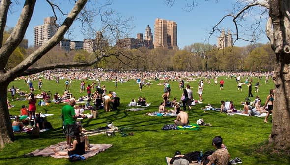 Large crowd of people enjoying a sunny day on the grass in Central Park, New York City. - Olive Oil Times