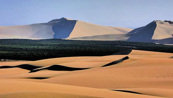 View of sand dunes with mountains in the background and a patch of greenery. - Olive Oil Times
